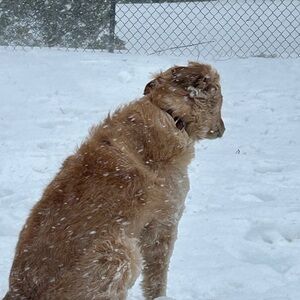 Meet your Posher, Alyson